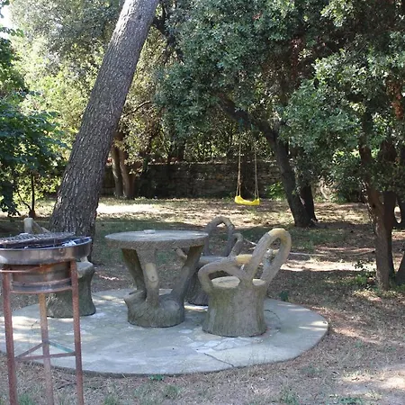 Le Mas De Lucien Entre Arles, Nimes, Avignon. Beaucaire  Exterior photo