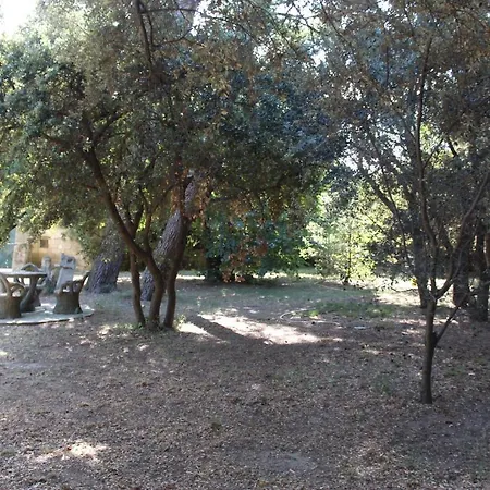 Le Mas De Lucien Entre Arles, Nimes, Avignon. Beaucaire  Exterior photo