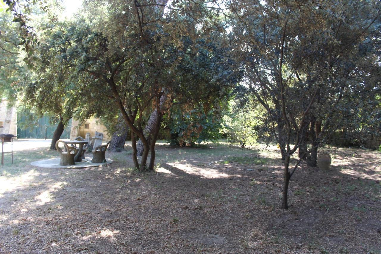 Apartment De Lucien Entre Arles, Nimes, Avignon. *