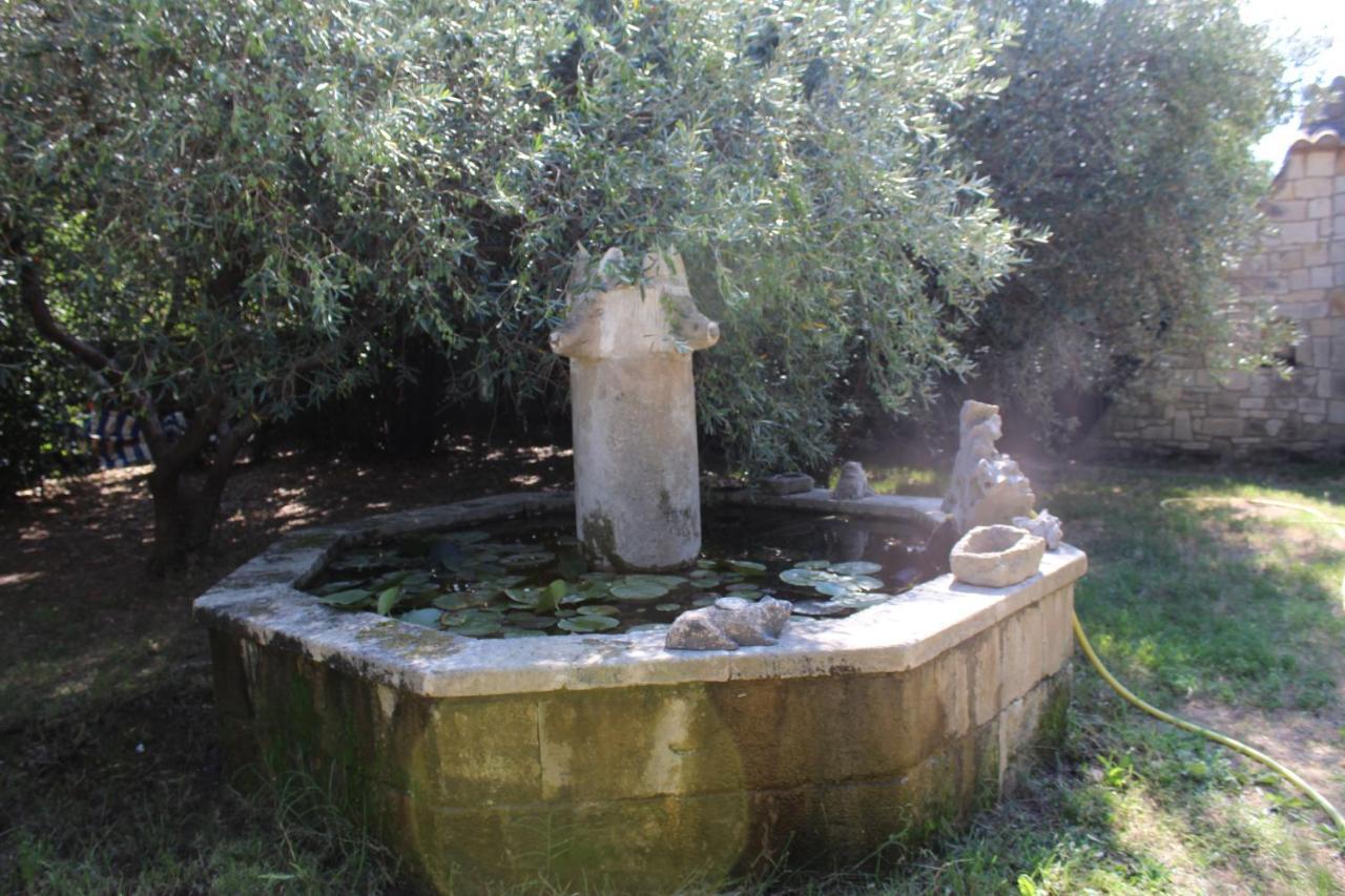 De Lucien Entre Arles, Nimes, Avignon. Apartment