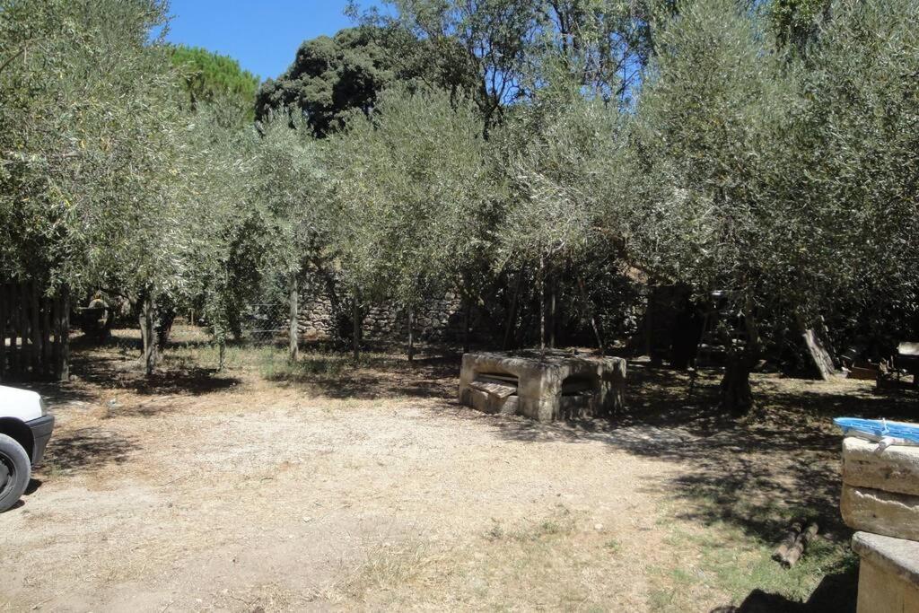 De Lucien Entre Arles, Nimes, Avignon. Apartment *